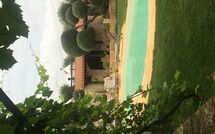 Foto indsendt af gæst på Trullo Santo Stefano