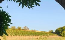 Foto indsendt af gæst på Casa Maria Luisa