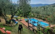 Foto indsendt af gæst på La Ruota