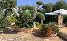 Foto indsendt af gæst på Lamia Santo Arcangelo