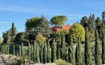 Foto indsendt af gæst på Tenuta Cambiano