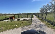 Foto indsendt af gæst på Villa dei Vini