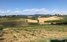 Foto indsendt af gæst på Nicola