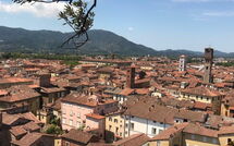 Foto indsendt af gæst på Nicola