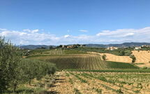 Foto indsendt af gæst på Nicola