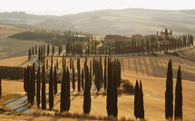 Foto indsendt af gæst på Villa Lauretana