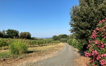 Foto indsendt af gæst på Poderino