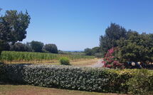 Foto indsendt af gæst på Poderino