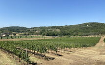 Foto indsendt af gæst på Villa Ulivi