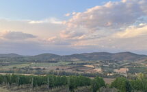 Foto indsendt af gæst på San Carlo