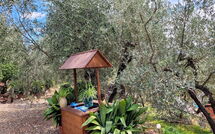 Foto indsendt af gæst på La Ruota