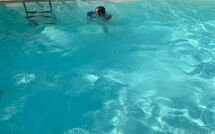 Foto indsendt af gæst på Villa Elaia