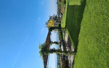 Foto indsendt af gæst på Casa Lionardo