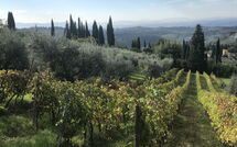 Foto indsendt af gæst på Casa Lucia