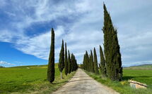 Foto indsendt af gæst på Villa Cassia