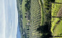 Foto indsendt af gæst på Tenuta - Tenuta 4