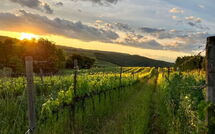 Foto indsendt af gæst på Villa Il Caggio