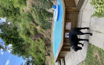 Foto indsendt af gæst på Casale di Cozzile