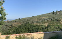 Foto indsendt af gæst på Casa Lionardo