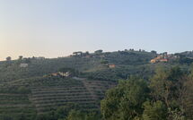 Foto indsendt af gæst på Casa Lionardo