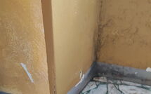 Foto indsendt af gæst på Il Gualdo