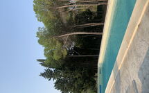 Foto indsendt af gæst på Nerodavola