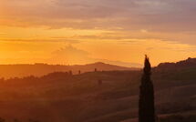 Foto indsendt af gæst på Tenuta Cambiano