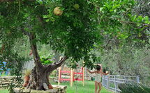 Foto indsendt af gæst på Villa Eftychia