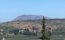 Foto indsendt af gæst på Villa Kallos