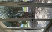 Foto indsendt af gæst på Tenuta Olearum