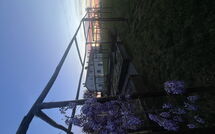 Foto indsendt af gæst på Il Sole di Vino - Sole di Vino - 1