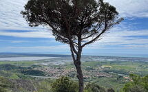 Foto indsendt af gæst på Casarosa di Mariasole