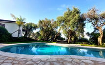 Foto indsendt af gæst på Villa Oliveta