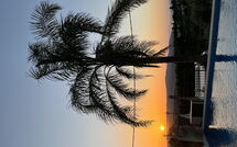 Foto indsendt af gæst på Villa Kois