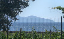 Foto indsendt af gæst på Villa Casale