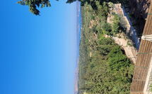 Foto indsendt af gæst på Villa Giorgos