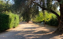 Foto indsendt af gæst på Villa Armonia