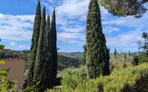 Foto indsendt af gæst på Bigiolo a Melazzano