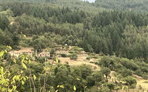 Foto indsendt af gæst på Villa Portole Due