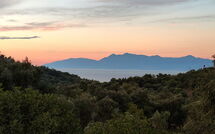 Foto indsendt af gæst på Villa di Giovanni