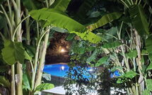 Foto indsendt af gæst på Klapas