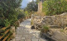 Foto indsendt af gæst på Villa Vicilla