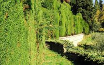 Foto indsendt af gæst på Montegufoni