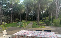 Foto indsendt af gæst på Nerodavola