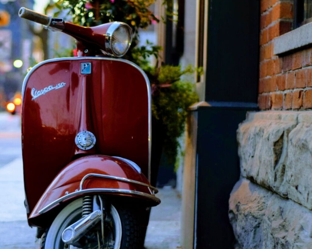 Udflugter & oplevelser